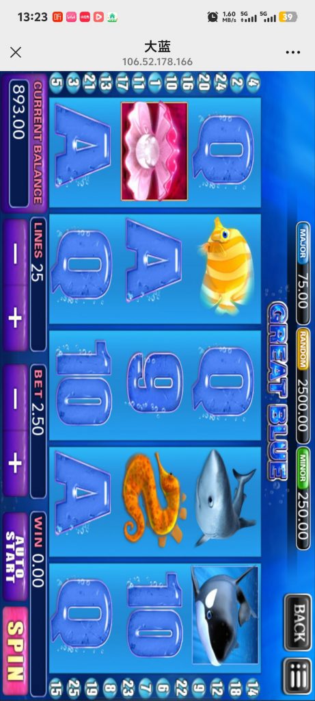 Screenshot_20250528_132308